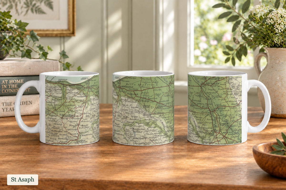 St Asaph historic map mug, Bartholomew Half-Inch, 1904 — product view 3